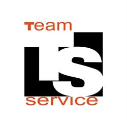 Team Service