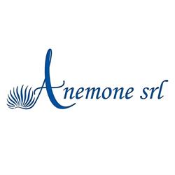 Anemone