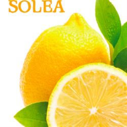 Solea srl
