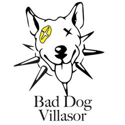 Bad Dog