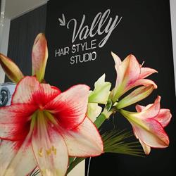 Vally Hair Style Studio