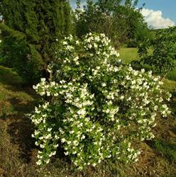 Agriturismo San Giuseppe