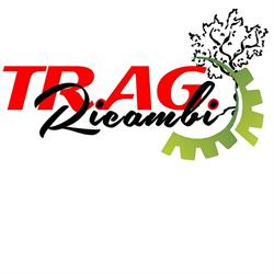 Trag Ricambi Paride Truda