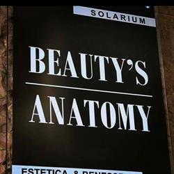 Beauty's Anatomy