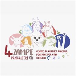 Centro Cinofilo 4 Zampe & co