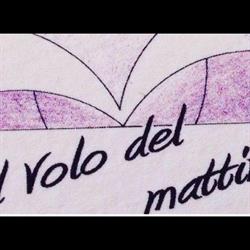 IL VOLO DEL MATTINO SNC