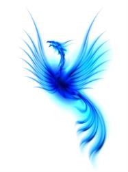 La Fenice Smoke Evolution