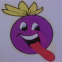 gelateria slurp