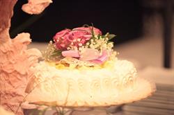 Speroni Catering Srl