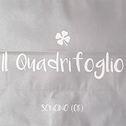 Il Quadrifoglio Di Rosanna Scalvini