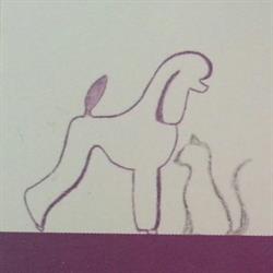 Toelettatura Amico Cane