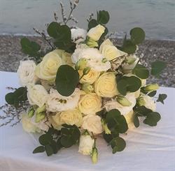 Non Solo Fiori Di Rocco Marinaro
