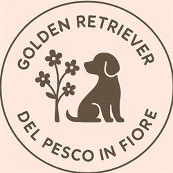 Del Pesco in Fiore Golden Retriever