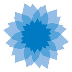 Natural Misting Srl