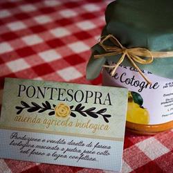 Azienda Agricola Pontesopra