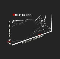 Wolf in Dog asd