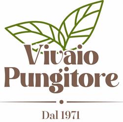 Vivaio Pungitore