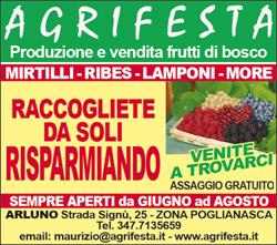 Agrifesta di Maurizio Festa