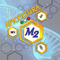 Apicoltura M2