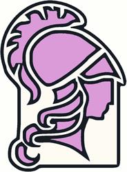 Minerva S.R.L.