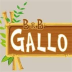 Il Gallo