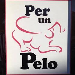 Per un Pelo