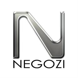 Negozi srl