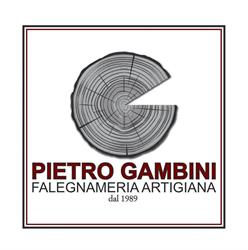 Pietro Gambini srl