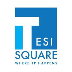 TESISQUARE - Bra HQ