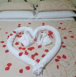 La Coccinella Bed & Breakfast