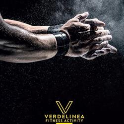 Palestra Verdelinea
