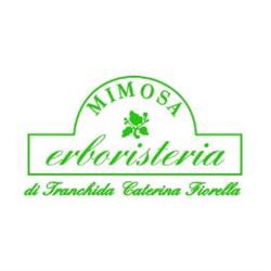 Erboristeria Mimosa