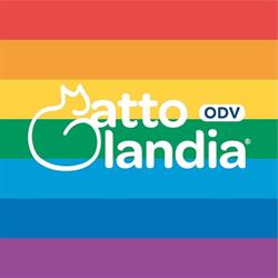 Gattolandia Onlus per la tutela del gatto