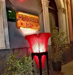 FREEBORN PUB