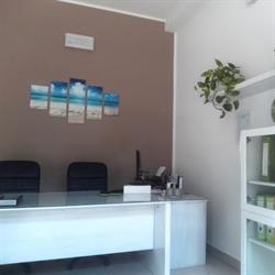 Ercolani Immobiliare