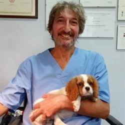 Studio Medico Veterinario dr. Alfonso Cervanti