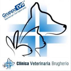 Clinica Veterinaria Brugherio