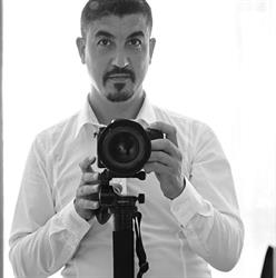 L'Immagine lupo bruno