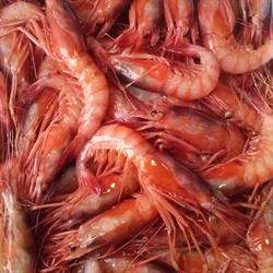 Pescheria e baccaleria La Mediterranea