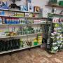 Gallery Professionale