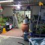 Gallery Professionale