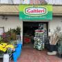 Gallery Professionale