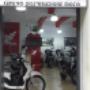 Gallery Professionale