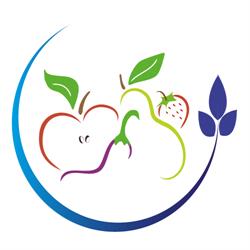 Dott. Davide Reccanello - Biologo Nutrizionista a Latina