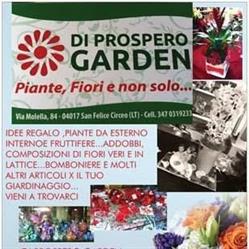 Di prospero garden