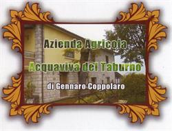 Azienda Agricola Acquaviva del Taburno