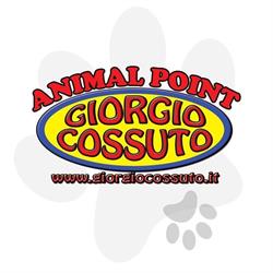 Giorgio Cossuto Animal Point