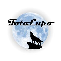 Fotolupo