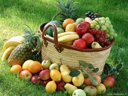 L'Oasi Della Frutta di Corvi Daniela