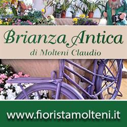 brianza antica